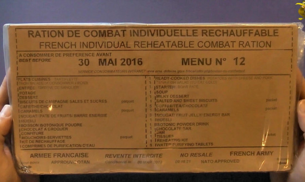 RCIR de l&rsquo;Armée Française