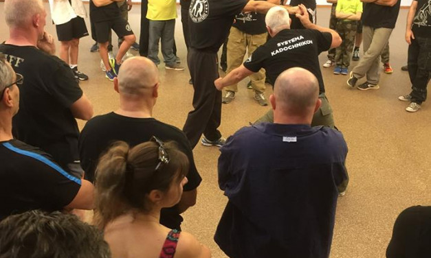 Initiation au Systema à la S.A.O Colmar, dimanche 22 avril 2018