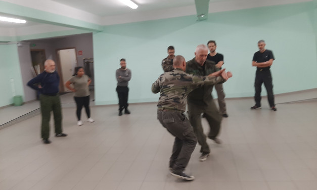 Retour sur le stage combat de novembre 2021 à Colmar