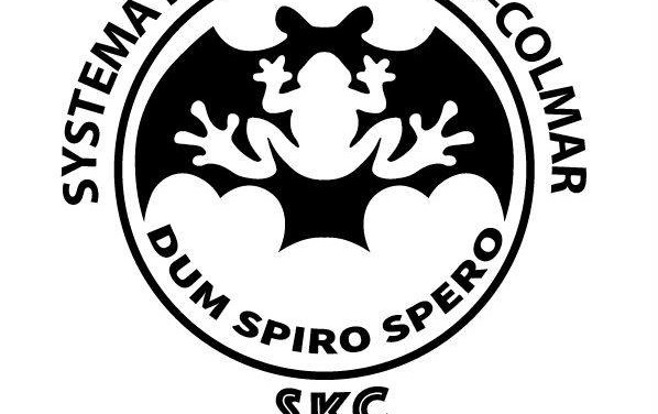 Stage de Systema Kadochnikov à Colmar du 6 au 10 août 2022