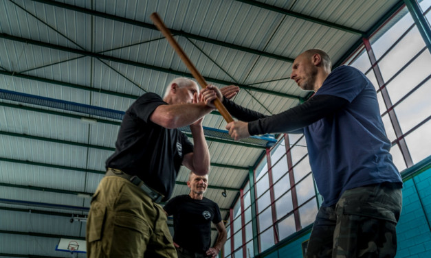 Perfectionnement en Systema Kadochnikov avec Evgueni Matkovski – Thomery 19, 20, 21 octobre 2024